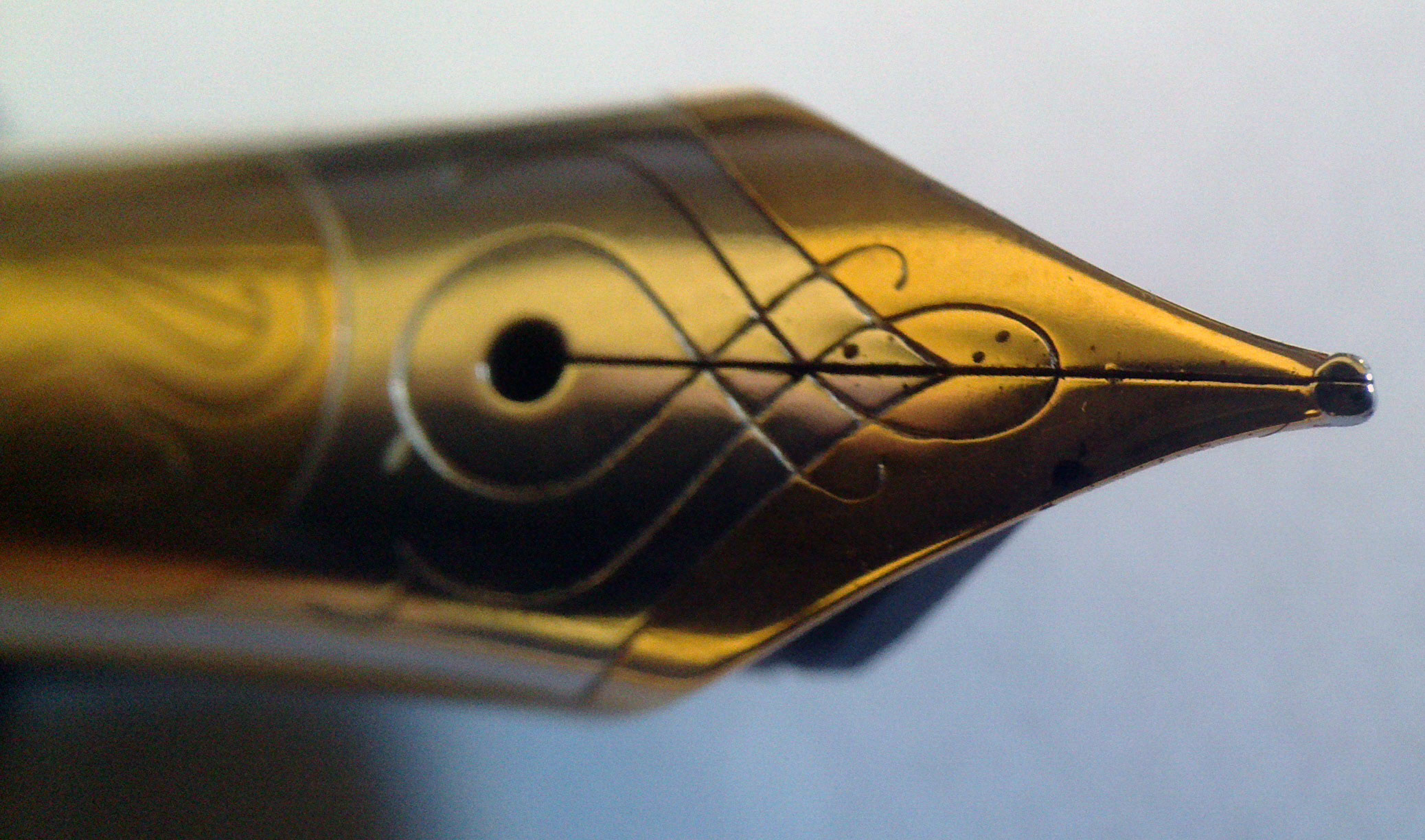 pelikan-OM.jpg