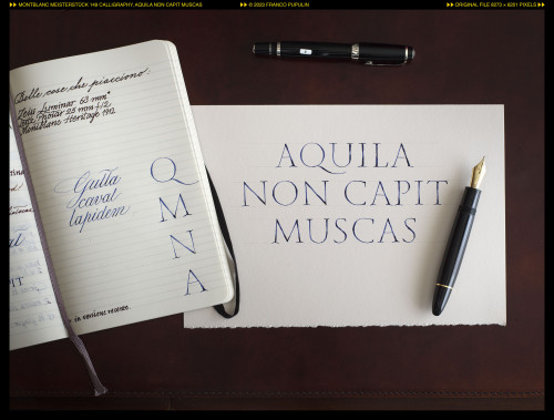 Montblanc 149 Calligraphy, Aquila non capit muscas ©FP.jpg