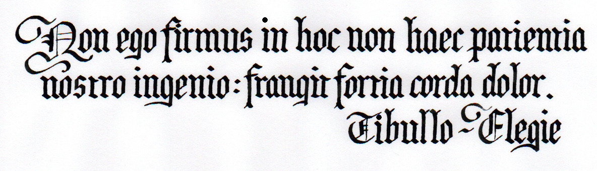 Tibullo - Elegie III,5