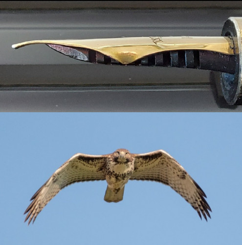 56. Falcon nib & hawk.jpg