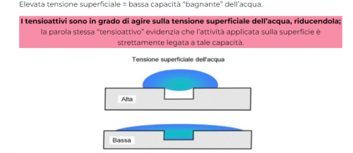 tensione superficiale.png