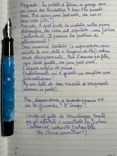 gatto.jpg