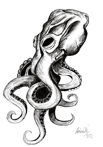 Octopus.jpg