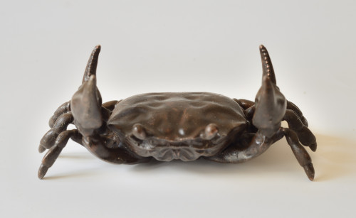 ANT_5551 rid.jpg