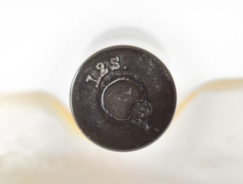 ANT_5583 rid.jpg