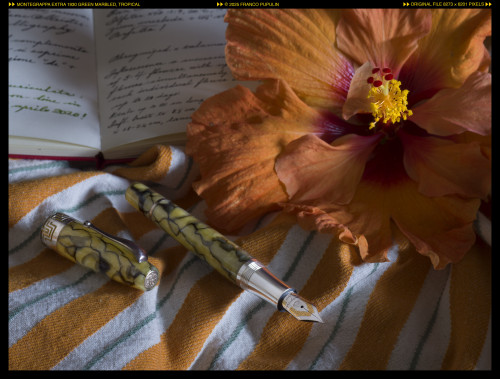 Montegrappa Extra 1930 Green Marbled, tropical ©FP.jpg