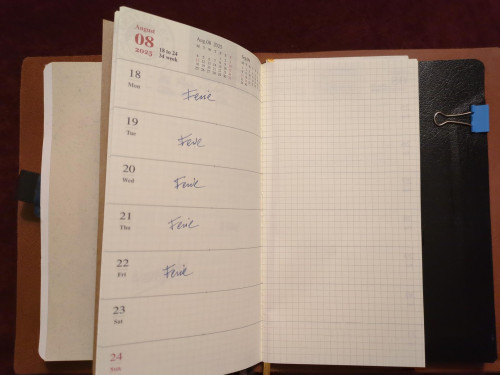 Inserto: agenda TN settimanale con note