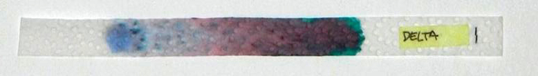 nero Delta - cromatografia.jpg