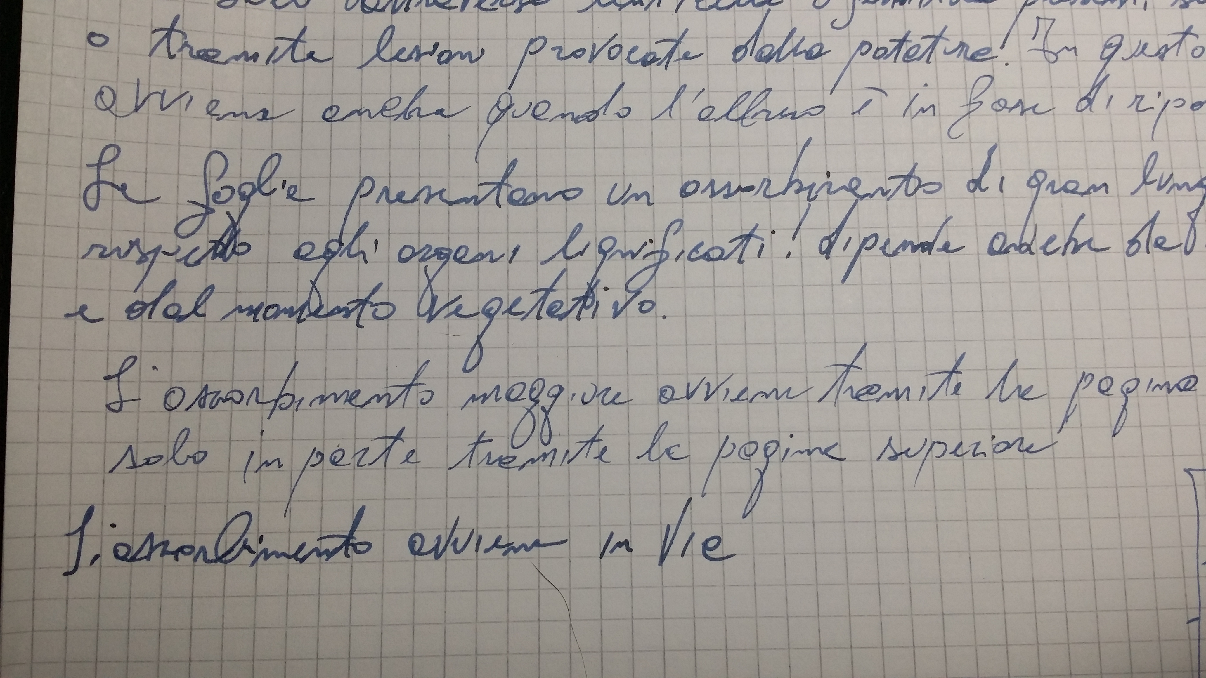 20150303_175953.jpg