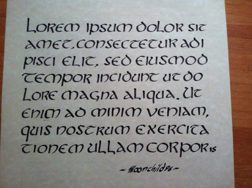 lorem ipsum.jpeg
