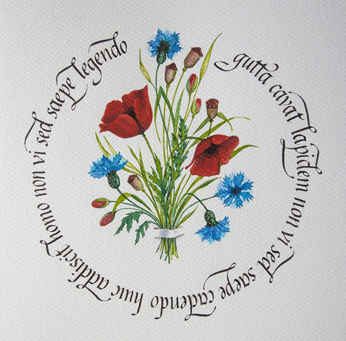 Fiori di campo.jpg