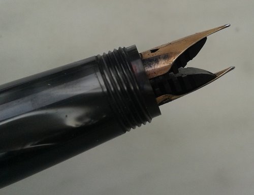 13. IC. nibs 1 (1).jpg