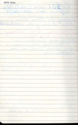suScatto3.jpg