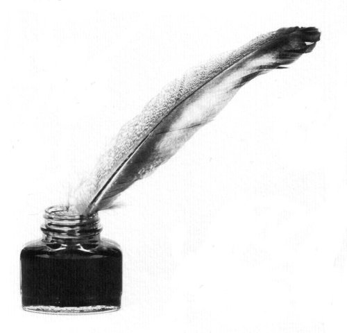 penna-doca.jpg