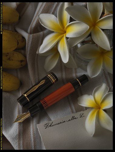 Montblanc Hemingway tropical (1) ©FP.jpg