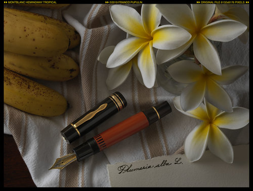 Montblanc Hemingway tropical (2) ©FP.jpg