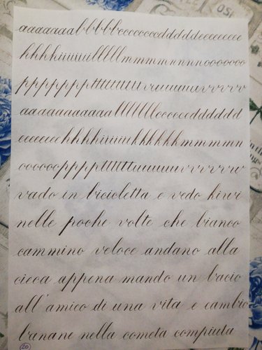 1552231159939161707838.jpg