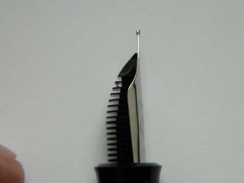 DSCN4507.JPG