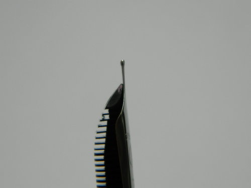 DSCN4509.JPG