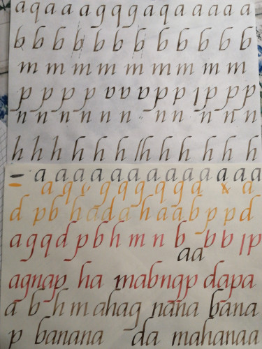 15727120352037354989817246960730.jpg