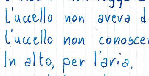 Particolare del Noodler's Eel Blue