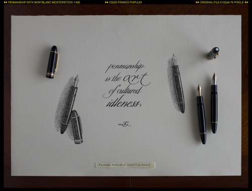 Penmanship with Montblanc Meisterstück 149s (1) ©FP.jpg