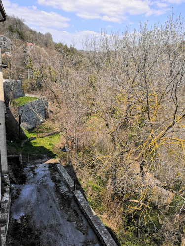 IMG_20200412_132934.jpg