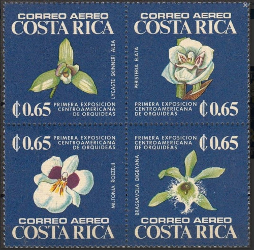 Cattura.JPG