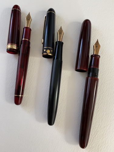 A partire da SX: 3776 Bourgogne, 3776 Higo Zogan (Sakura), Nakaya (che usa il pennino della 3776 o molto simile).