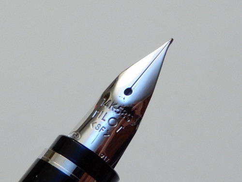 Pilot Falcon Elabo.jpg