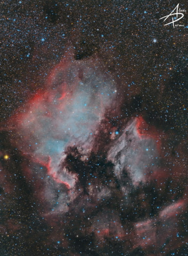 Nebulose Nord America (NGC7000) e Pellicano (IC5070) in colori naturali con particolare enfasi alle zone azzurre ricca di ossigeno ionizzato