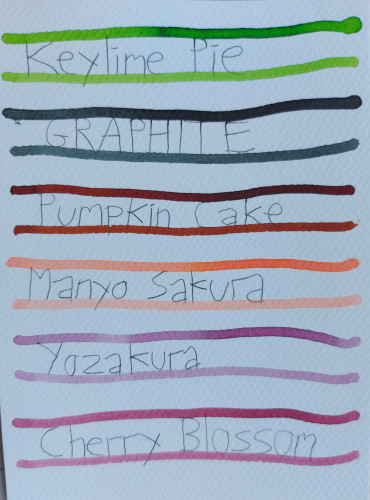 Monteverde &quot;Keylime Pie&quot;, Diamine &quot;Graphite&quot;, Monteverde &quot;Pumpkin Cake&quot;, Sailor Manyo &quot;Sakura&quot;, Sailor Shikiori &quot;Yozakura&quot;, Robert Oster &quot;Cherry Blossom&quot;