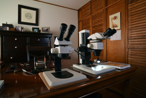 Microscopio nuovo 2021 (orizzontale bis).jpg