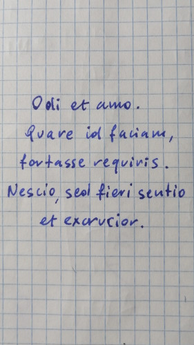 Ecco una breve prova di scrittura con le parole di Catullo. Grazie al flusso leggermente abbondante la penna risulta scorrevole, ogni tanto si sente il pennino grattare leggermente per via dei rebbi che si disallineano (forse potrebbe dipende dalla posizione leggermente decentrata dall'asse dell'alimentatore).