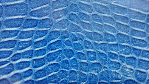 2. Blue snakeskin (Box detail).jpg