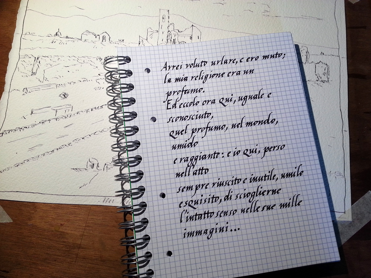 20130711_1136521.jpg